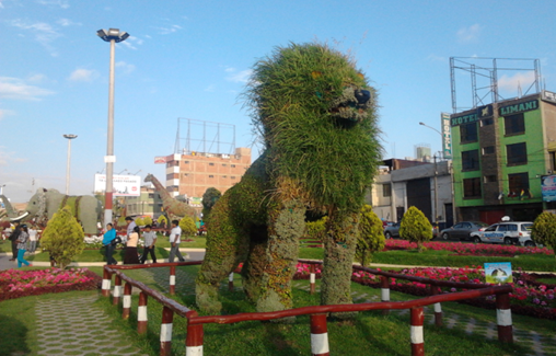 animales con flores en tacna