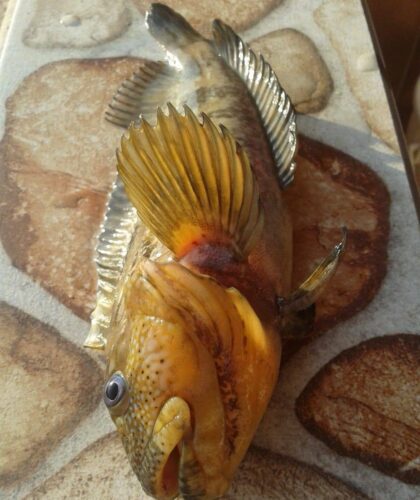 Consejos para visitar las playas de Tacna 2